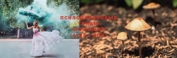PSILOCYBIN Белокуриха