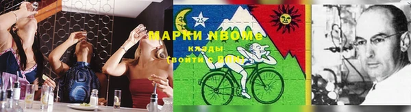 PSILOCYBIN Белокуриха