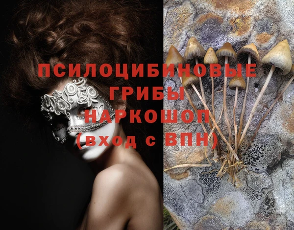 PSILOCYBIN Белокуриха