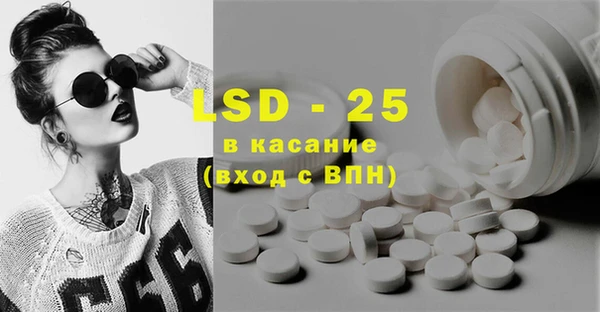 PSILOCYBIN Белокуриха