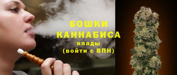 PSILOCYBIN Белокуриха