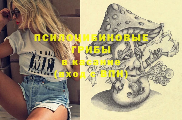 PSILOCYBIN Белокуриха