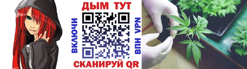 дарнет шоп  Короча  Бошки Шишки SATIVA & INDICA 